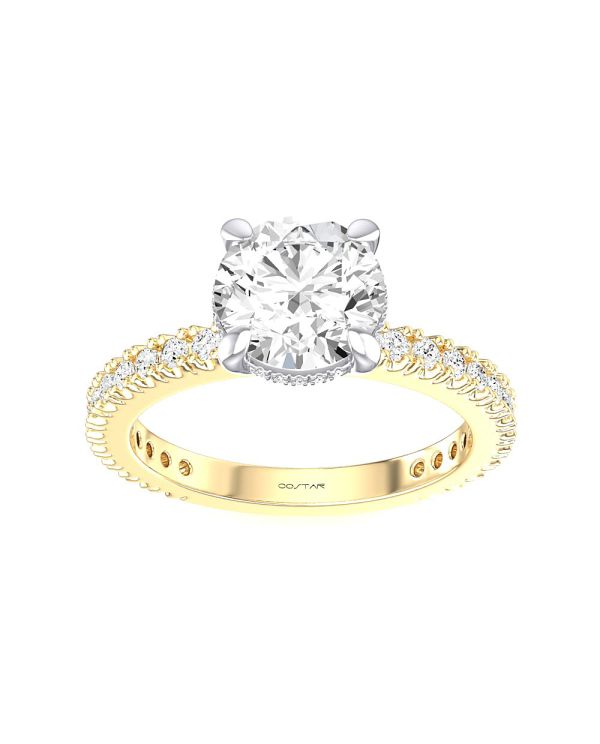 1.50 ct Round Hidden Halo Engagement Ring