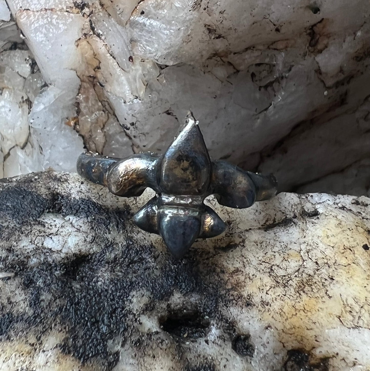 EC Black & Gold Fleur De Lis Ring