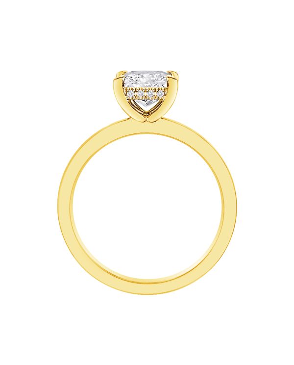 Princess Hidden Halo Engagement Ring